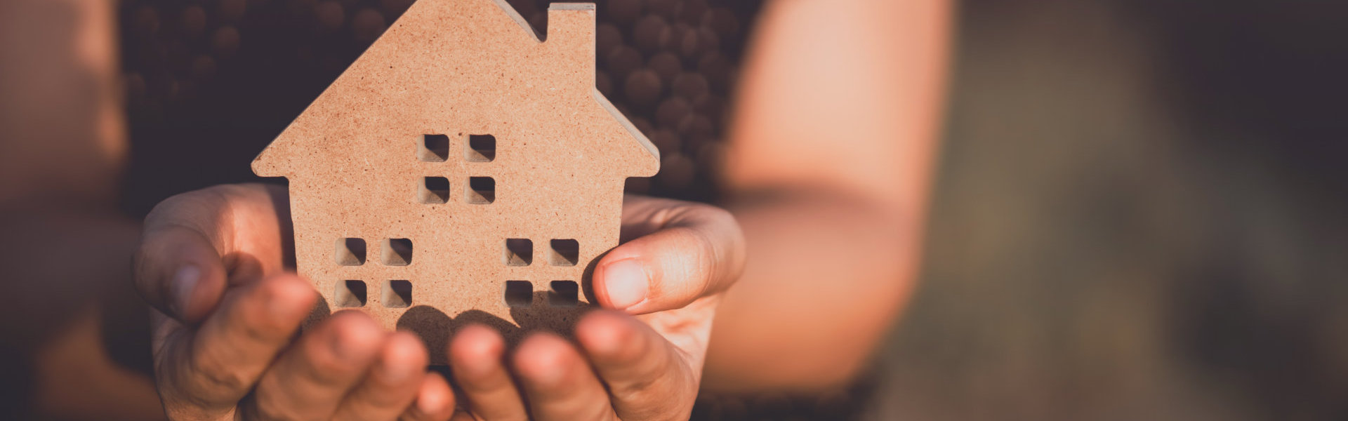 Person holding a mini-house